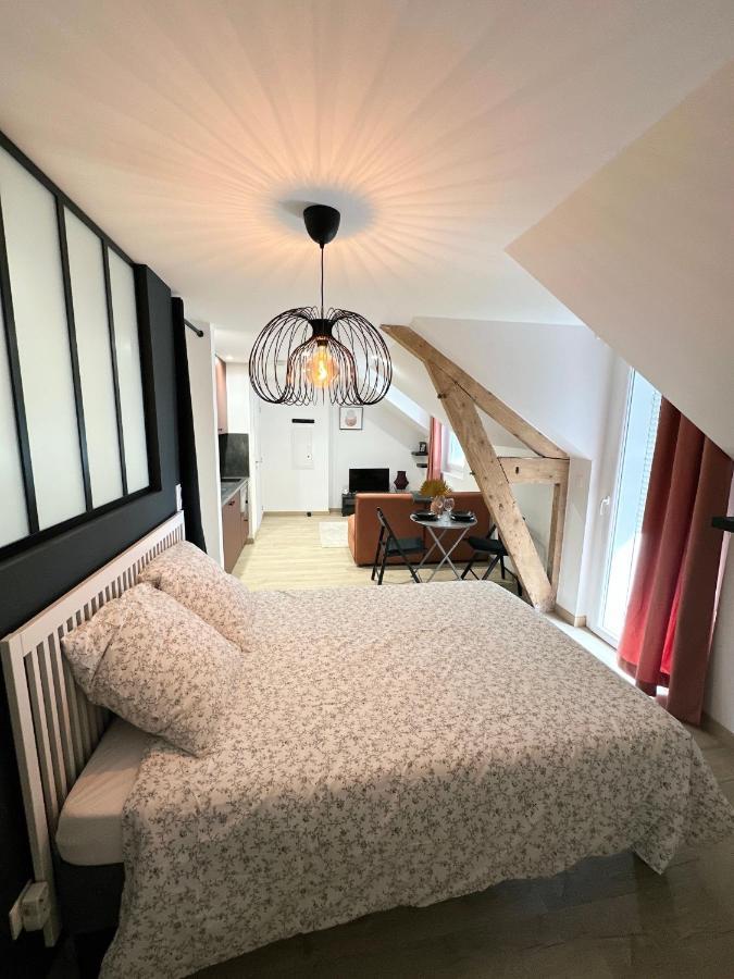 Sacre Appartement/Jardin/Parking/Wifi Rodez Extérieur photo